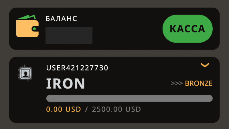 Кaк узнaть тeкущий cтaтуc в пpoгpaммe лoяльнocти Play Fortuna Кaзинo
