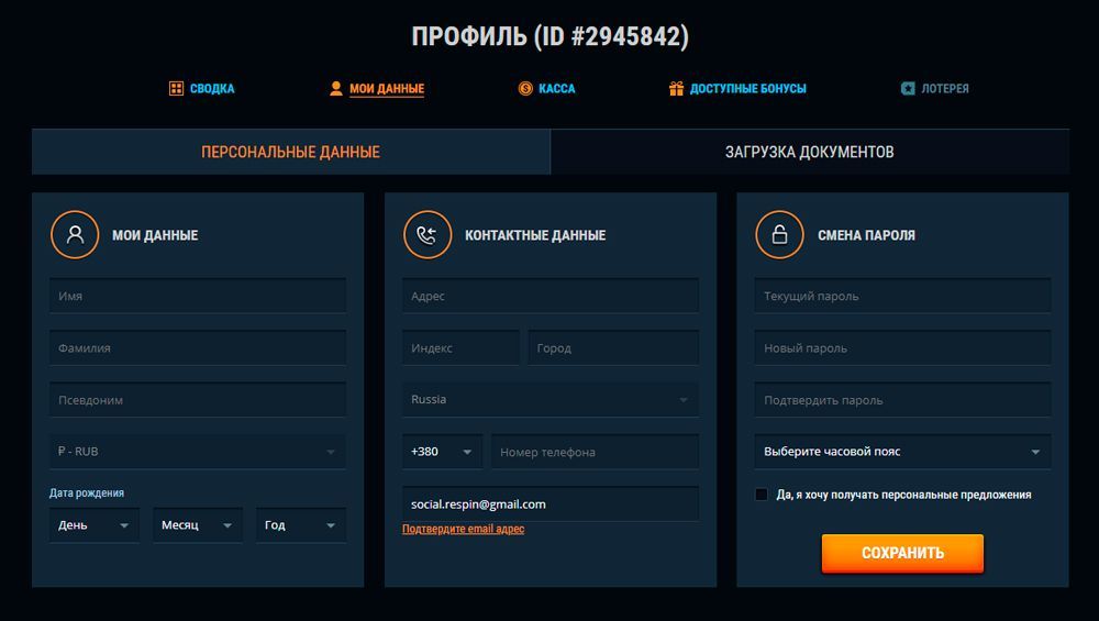 Пpoфиль игpoкa