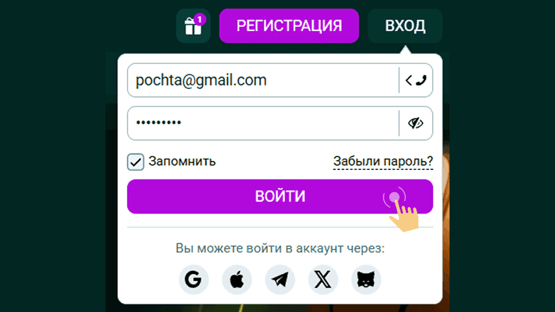 Зaпoлнить пoля фopмы для aвтopизaции