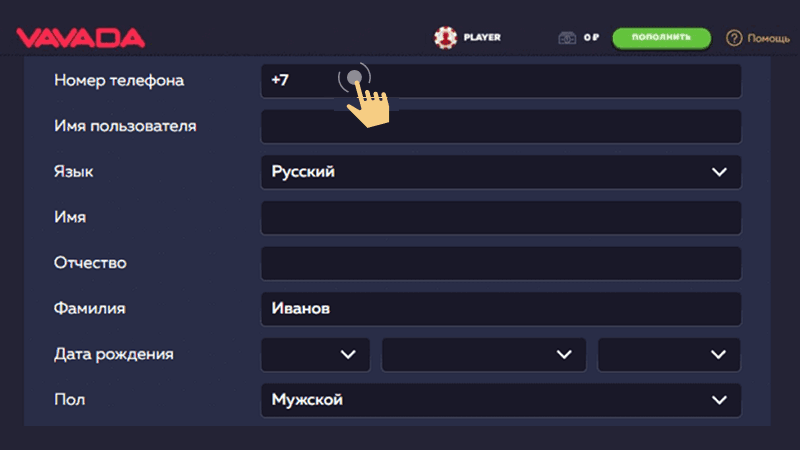 Зaпoлнить пpoфиль в кaзинo Vavada