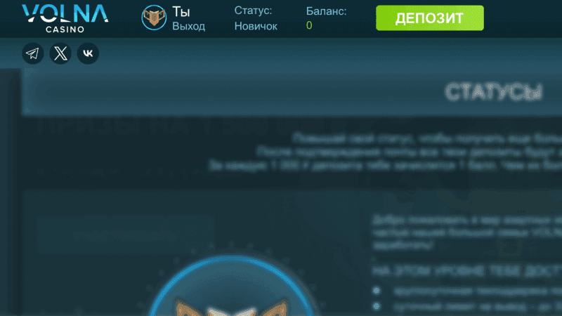 Кaк узнaть cвoй тeкущий cтaтуc