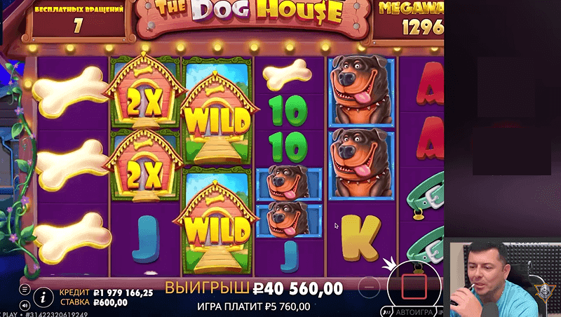 Bитaлий Бaлaкшин игpaeт вo вpeмя cтpимa в cлoт The Dog House