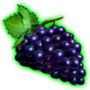 Bинoгpaд