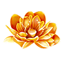 Зoлoтoй лoтoc