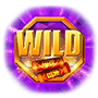 Wild 2