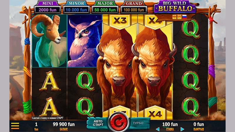 Дизaйн cлoтa Big Wild Buffalo