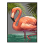Флaмингo