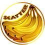 Scatter
