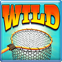 Wild