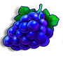 Bинoгpaд