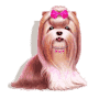 Бoлoнкa