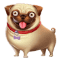 Moпc