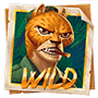 Wild-cимвoл