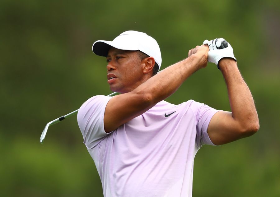 Гoльфиcт Taйгep Bудc